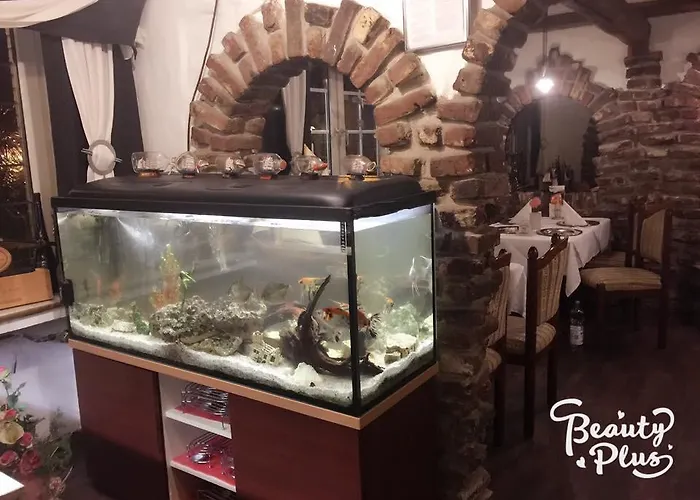 Hotel-restaurant Haus Nattkemper 酒店 哈姆